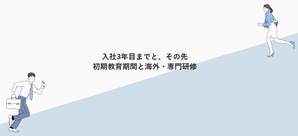 入社3年目までと、その先｜初期教育期間と海外・専門研修
